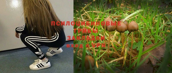 сатива Абдулино