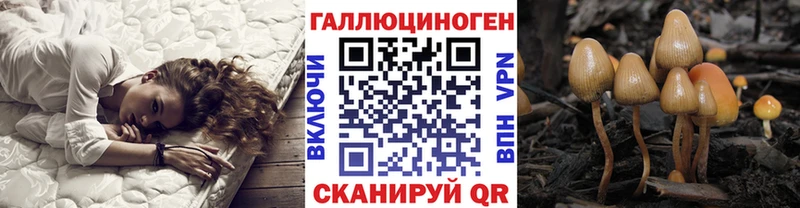 Галлюциногенные грибы Magic Shrooms Кедровый